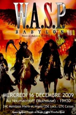 wasp_n10
