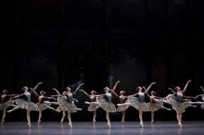 3905_2010-11-PAQUI-100