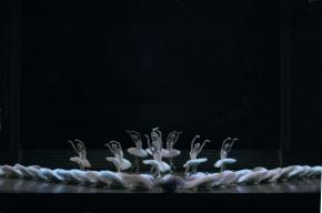 Le Lac des Cygnes - Opera Bastille