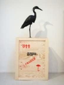 Mark Dion - Tar Museum