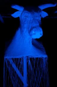 La tour du 13eme a Paris - 102 artistes du Street Art et Graffito