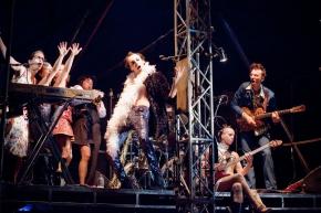 Cubitus_du_manchot2_-_Damien_Bossis