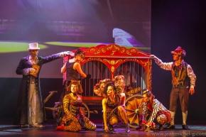 Pinocchio, le spectacle musical - theatre de paris