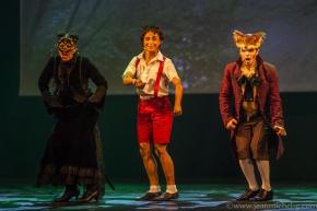 Pinocchio, le spectacle musical - theatre de paris