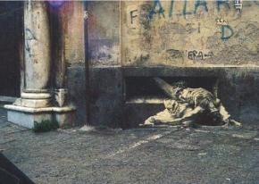 Exposition Ernest Pignon-Ernest  - La Maison des Arts de Malakoff  