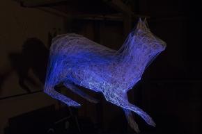 Constellation_de_la_chevrette_de_Julien_Salaud