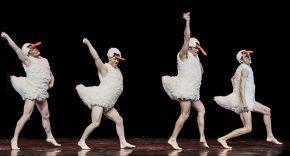 Tutu - La danse dans tous ses etats -  Au Bobino