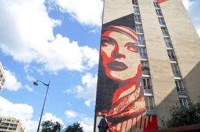 Roswitha Guillemin - Photographe street art_carnets urbains et mail art