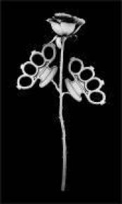 Urban Art 2014 - Le film de Jérémy Jaoui - Ludo