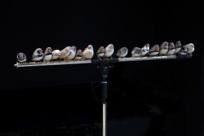 c__boursier-mougenot_5F150_2