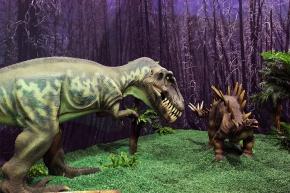 Eustreptospondylus-y-huayangosaurus-DR