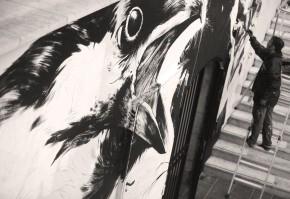 k-live_festival_2014_le_maco_mr_qui_detail_photo_laurent_vilarem_290_199