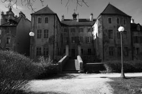 La griffe du chat - Dole