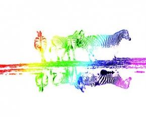 Kyungwoo_Bae_-_Xsprays_Yourself_-_Exposition_collective_-_42