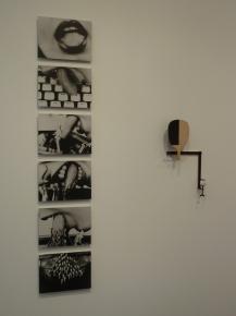 FIAC_Lenora_de_Barros_