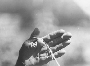 Kapwani_Kiwanga_-_In_process