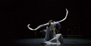 Genesis_4_-__Koen_Broos