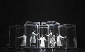 Genesis_6_-__Koen_Broos