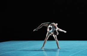 Entity_-_W._McGregor_-_GUESTS_-_C._Martini_small