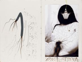 Evru1.972a17ba0cd3f210d61714148aaaa5fa