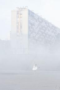 28_millimetres_portrait_dune_generation_les_bosquets_in_the_mist_montfermeil_france_2014