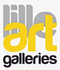 Lille Art Galleries - Qui est l invite copie copie