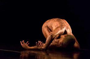 cicatriz guto muniz 5