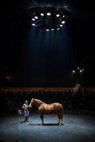 3-Bestias-Baro-D-EVel--c-Ian-Grandjean-