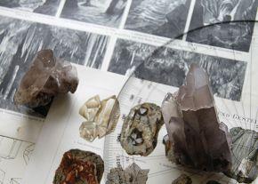 edouardwolton1 copie