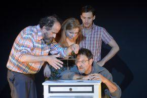 028pg20150830 1.jpg C Pascal Gely copie