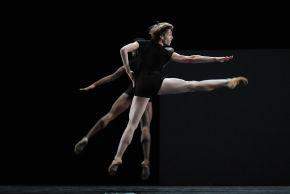 Elephant-in-the-black-box-company-Photo-by-Pedro-Arnay-e1435908180269