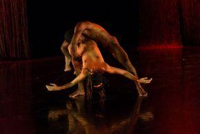 Faizalphoto-Steve-Appel-copie-e1435908029994