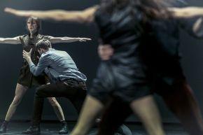 Wim-Vandekeybus-Danny-Willems