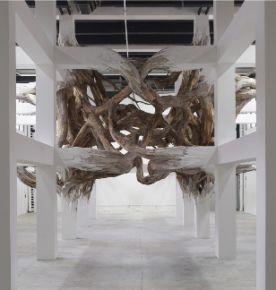 Exposition-Fissure---Henrique-Oliveira---galerie-G.-P.--N.-Vallois copie