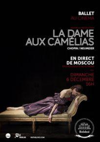 dameauxcamélias copie