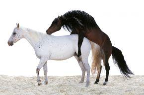 Oliviero TOSCANI-Toscani 5 G-Vign