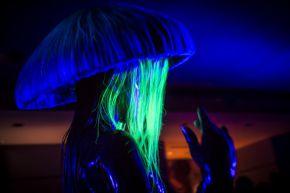 Charlie Le Mindu Charliewood Palais de Tokyo2 copie