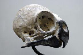 quentin garel-MHNH copie