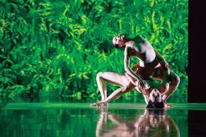 Cloud-Gate-Rice-3-credit-courtesy