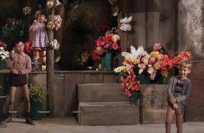 julien-audebert Art concept copie