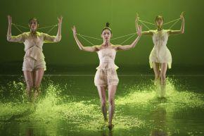 17854-2016-kbora-diapo