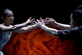 20160112 seeds 0771small