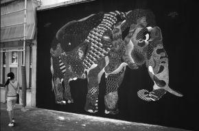 Philippe-Baudelocque-6-bis-600x396