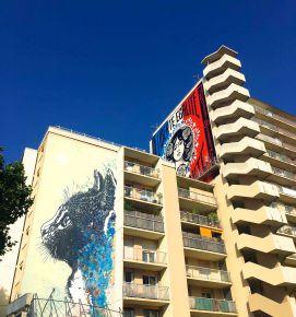 shepard fairey 2