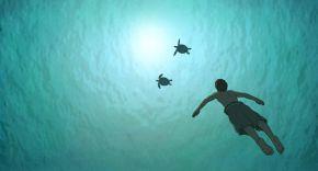 La Tortue rouge - film danimation de Michael Dudok de Wit6