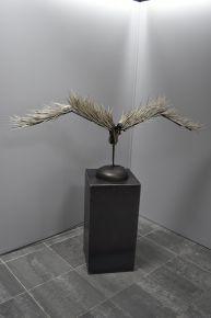 Tunis5 Noutayel Belkadhi - copie