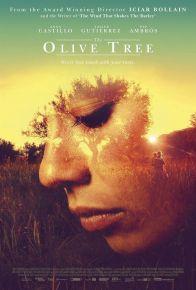 olivetree copie
