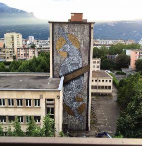 13566917 1023063494395350 2660153275398647311 n