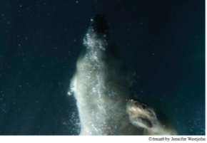 Capture décran 2016-09-11 à 20.14.55