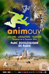 animouv copie